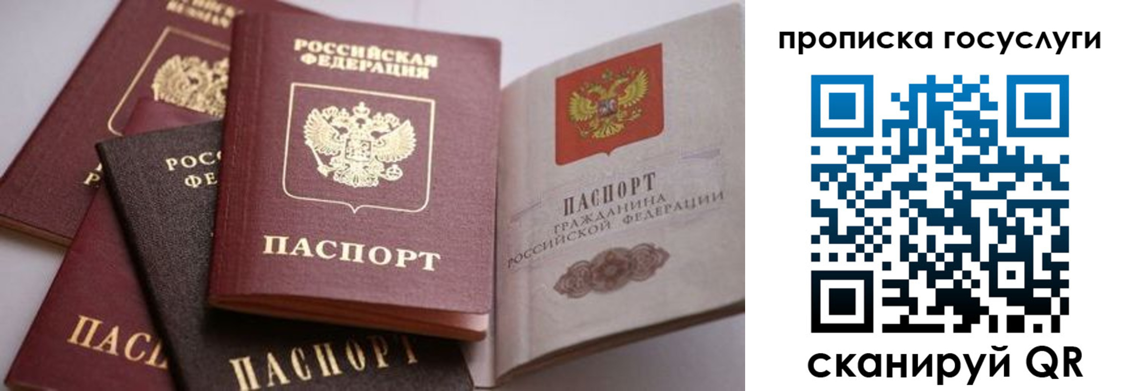 прописка иностранных граждан в Калачинске